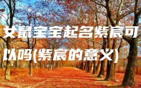 女鼠宝宝起名紫宸可以吗(紫宸的意义)