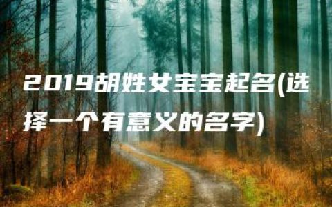 2019胡姓女宝宝起名(选择一个有意义的名字)