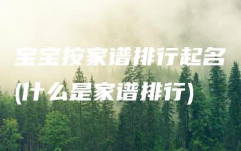 宝宝按家谱排行起名(什么是家谱排行)