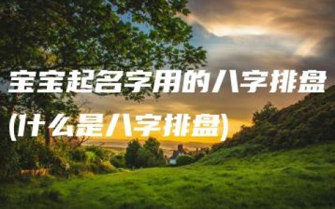 宝宝起名字用的八字排盘(什么是八字排盘)