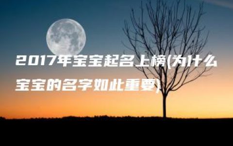 2017年宝宝起名上榜(为什么宝宝的名字如此重要)