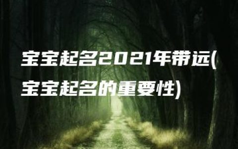 宝宝起名2021年带远(宝宝起名的重要性)