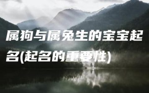 属狗与属兔生的宝宝起名(起名的重要性)