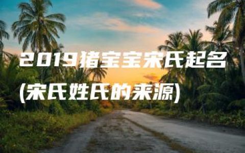 2019猪宝宝宋氏起名(宋氏姓氏的来源)