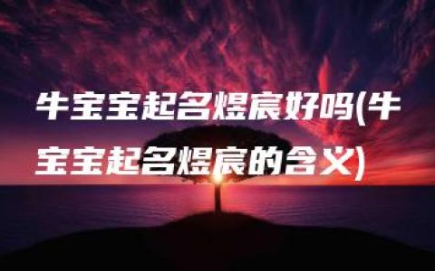 牛宝宝起名煜宸好吗(牛宝宝起名煜宸的含义)