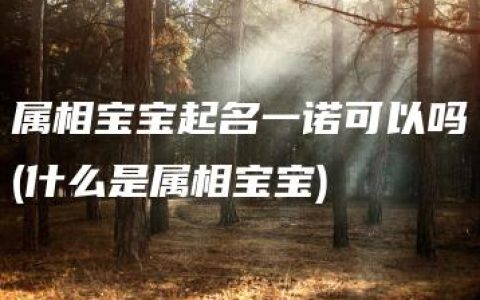 属相宝宝起名一诺可以吗(什么是属相宝宝)