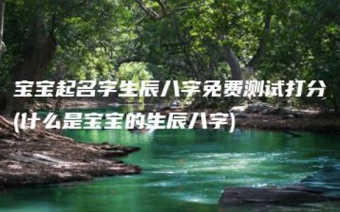 宝宝起名字生辰八字免费测试打分(什么是宝宝的生辰八字)