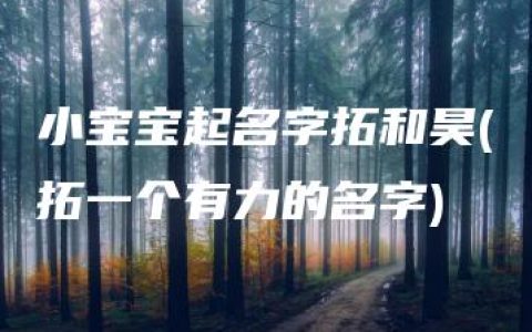 小宝宝起名字拓和昊(拓一个有力的名字)