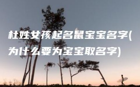 杜姓女孩起名鼠宝宝名字(为什么要为宝宝取名字)