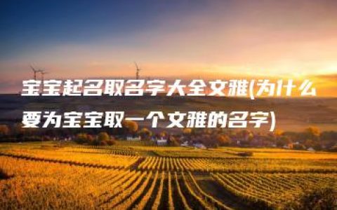 宝宝起名取名字大全文雅(为什么要为宝宝取一个文雅的名字)