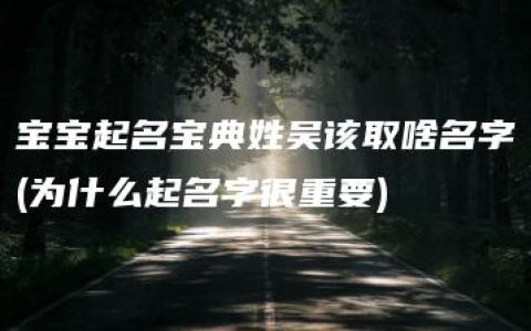 宝宝起名宝典姓吴该取啥名字(为什么起名字很重要)