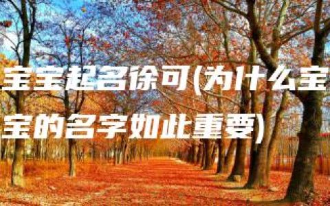 宝宝起名徐可(为什么宝宝的名字如此重要)