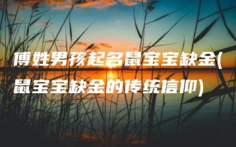 傅姓男孩起名鼠宝宝缺金(鼠宝宝缺金的传统信仰)