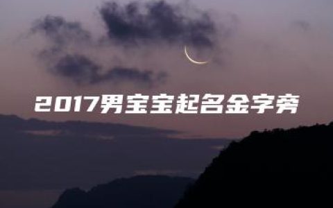 2017男宝宝起名金字旁