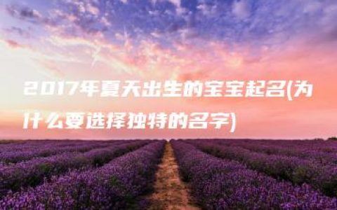 2017年夏天出生的宝宝起名(为什么要选择独特的名字)