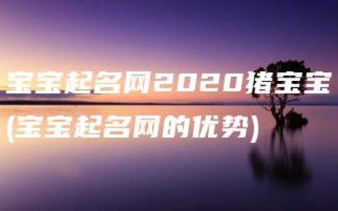 宝宝起名网2020猪宝宝(宝宝起名网的优势)