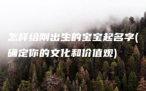 怎样给刚出生的宝宝起名字(确定你的文化和价值观)