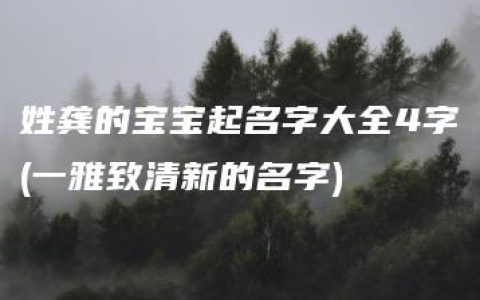 姓龚的宝宝起名字大全4字(一雅致清新的名字)