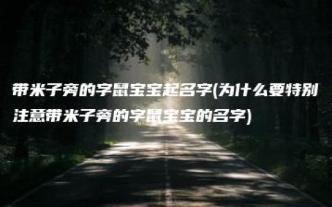 带米子旁的字鼠宝宝起名字(为什么要特别注意带米子旁的字鼠宝宝的名字)