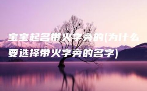 宝宝起名带火字旁的(为什么要选择带火字旁的名字)