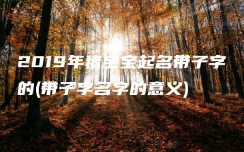 2019年猪宝宝起名带子字的(带子字名字的意义)