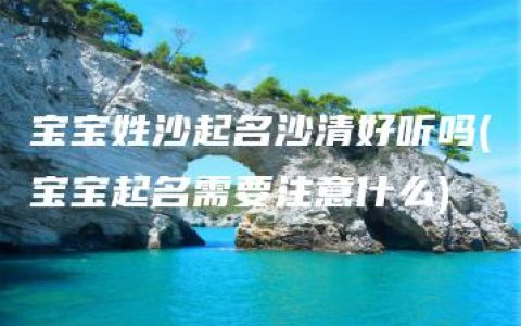 宝宝姓沙起名沙清好听吗(宝宝起名需要注意什么)