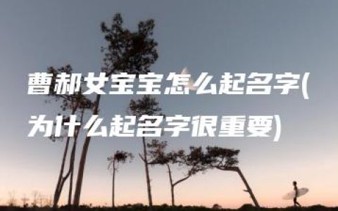 曹郝女宝宝怎么起名字(为什么起名字很重要)