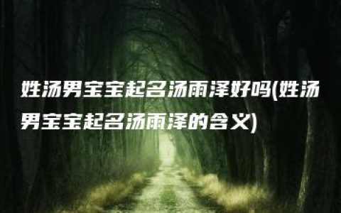 姓汤男宝宝起名汤雨泽好吗(姓汤男宝宝起名汤雨泽的含义)