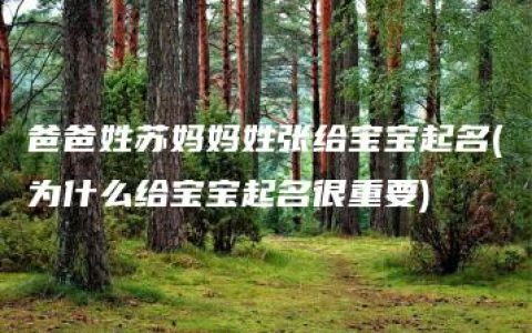 爸爸姓苏妈妈姓张给宝宝起名(为什么给宝宝起名很重要)