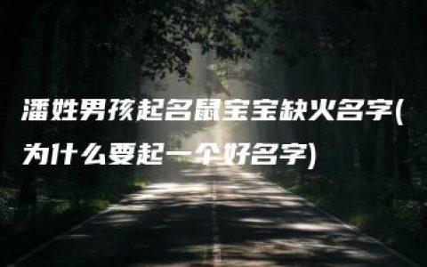 潘姓男孩起名鼠宝宝缺火名字(为什么要起一个好名字)