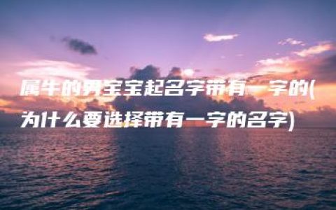 属牛的男宝宝起名字带有一字的(为什么要选择带有一字的名字)