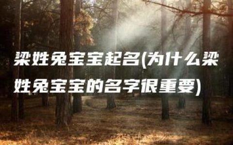 梁姓兔宝宝起名(为什么梁姓兔宝宝的名字很重要)