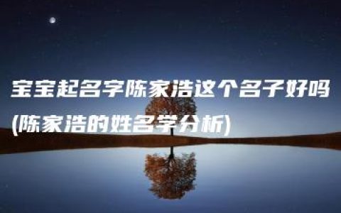 宝宝起名字陈家浩这个名子好吗(陈家浩的姓名学分析)