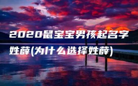 2020鼠宝宝男孩起名字姓薛(为什么选择姓薛)