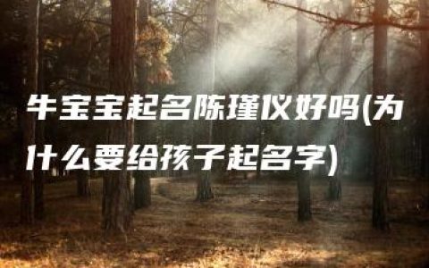 牛宝宝起名陈瑾仪好吗(为什么要给孩子起名字)