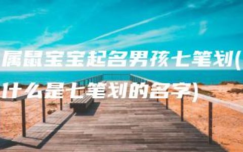 属鼠宝宝起名男孩七笔划(什么是七笔划的名字)