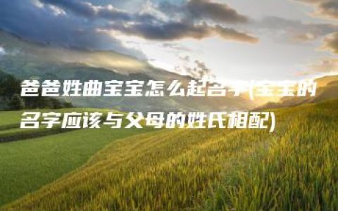 爸爸姓曲宝宝怎么起名字(宝宝的名字应该与父母的姓氏相配)