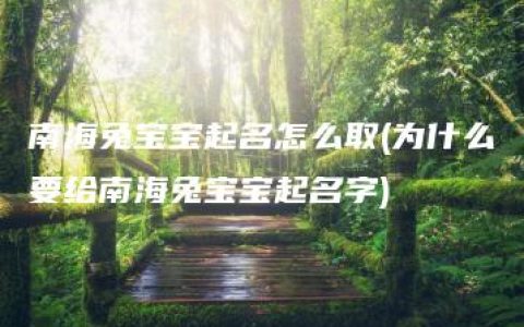 南海兔宝宝起名怎么取(为什么要给南海兔宝宝起名字)