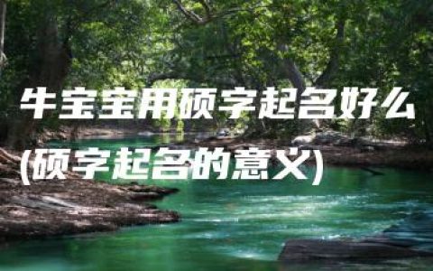 牛宝宝用硕字起名好么(硕字起名的意义)