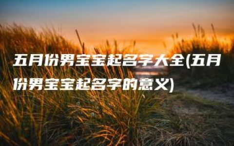 五月份男宝宝起名字大全(五月份男宝宝起名字的意义)