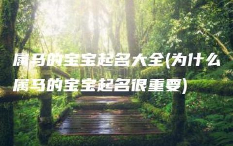 属马的宝宝起名大全(为什么属马的宝宝起名很重要)