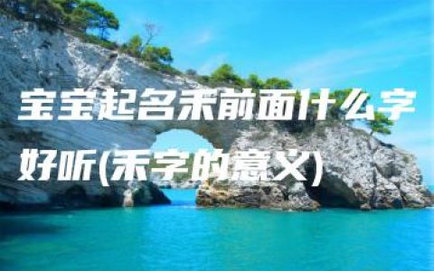 宝宝起名禾前面什么字好听(禾字的意义)