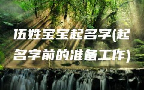 伍姓宝宝起名字(起名字前的准备工作)