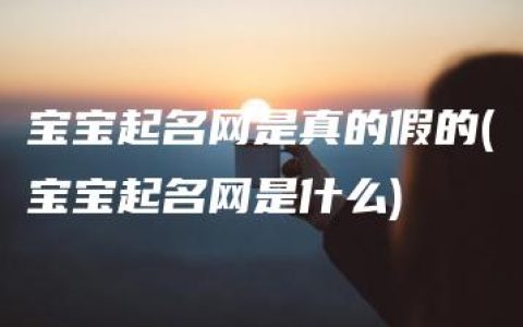 宝宝起名网是真的假的(宝宝起名网是什么)