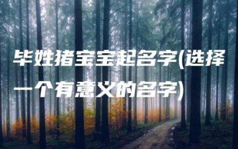 毕姓猪宝宝起名字(选择一个有意义的名字)