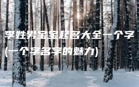 李姓男宝宝起名大全一个字(一个字名字的魅力)