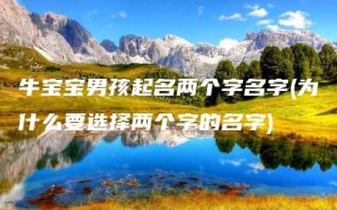 牛宝宝男孩起名两个字名字(为什么要选择两个字的名字)