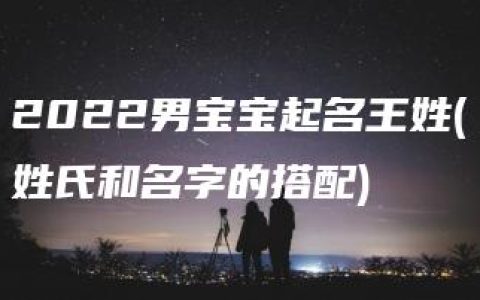 2022男宝宝起名王姓(姓氏和名字的搭配)