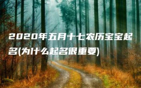 2020年五月十七农历宝宝起名(为什么起名很重要)