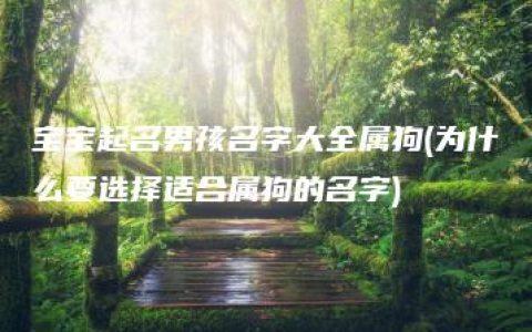 宝宝起名男孩名字大全属狗(为什么要选择适合属狗的名字)